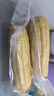 京鲜生 东北白糯玉米230g*8棒 新鲜甜糯玉米棒真空包装粘玉米 源头直发 实拍图