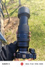 腾龙（Tamron）A057Z 150-500mm F/5-6.7 Di III VC VXD防抖 拍鸟体育超长焦尼康全画幅微单镜头(尼康Z卡口) 实拍图