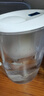 碧然德（BRITA）家用净水壶 滤水壶滤芯 MAXTRA+LE 去水垢专家滤芯 6枚装 实拍图
