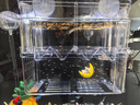 派乐特 鱼缸孵化盒隔离盒孔雀鱼繁殖盒斗鱼亚克力 实拍图