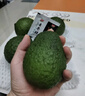 正宗进口秘鲁哈斯牛油果孕妇水果宝宝辅食进口鳄梨整箱批发价 8个装 单果重100-130克 实拍图