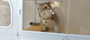 蔻丝猫笼子猫别墅超大号空间隔离带厕所一体适合大猫一室一卫家用猫笼 璀璨星城【加大三室一卫】大空间 猫厕款【封闭式猫砂盆+猫砂铲】 实拍图