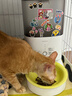 霍曼（Homerun）Real智能自动喂食器猫粮定时猫猫咪自动投食机（不锈钢碗） 实拍图