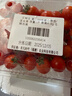 京鲜生 釜山88玲珑水果小番茄/圣女果 净重1斤 单果4-8g 生鲜水果 实拍图
