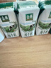 伊利金典纯牛奶整箱 200ml*24盒 3.6g乳蛋白 原生高钙 礼盒装 实拍图