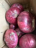 山东特产水果扁洋葱甜瓜口感红皮扁葱头生吃脆甜蘸酱好吃粉嫩 紫皮洋葱大果带箱 2斤 精选 实拍图