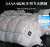 水星家纺羽绒被95%白鹅绒被子冬季加厚冬被芯双人羽绒被200cm×230cm1000g 实拍图