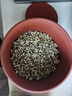 甘泉村紫砂豆芽罐全自动家用豆芽机生豆芽发芽神器发绿豆花生芽四季可用 【加热款】大款紫砂罐+加热底座 实拍图
