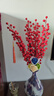 花点馨意冬青发财果仿真花装饰摆件红果新年宵花卉假花餐桌插花6叉2支5189 实拍图