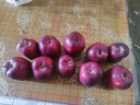 京鲜生 甘肃天水花牛苹果 又大又红 净重4斤 单果160g起  新鲜水果  实拍图