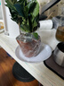 绿有意 绿植花卉办公室客厅桌面盆栽摆件简约创意网红北欧绿植ins云朵盆 栀子花+甜甜圈PET树脂盆+托盘+肥料 北欧风格网红绿植 实拍图