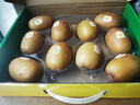 佳沛（zespri）新西兰  阳光金奇异果10粒礼盒巨大果单果约144-175g 水果 猕猴桃 实拍图