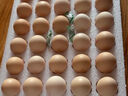 京鲜生无抗保洁鲜鸡蛋15枚1.5斤源头直发  实拍图