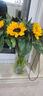 【向日葵】生日礼物鲜切花云南基地直发新鲜太阳花鲜花毕业花束 向日葵5枝 中大花 中大花向日葵 实拍图
