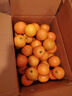 甜蜜有礼麻阳冰糖橙当季新鲜采摘水果手剥甜夏新鲜采摘橙子礼盒当季彩整箱 9斤（35个左右）精选装 实拍图