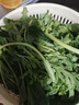 大菠菜300g 实拍图