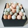 楚逸禾  散养五彩土鸡蛋虫草蛋当日新鲜鸡蛋破损包赔 【五彩土鸡蛋40枚】 【生态林下养殖】 实拍图