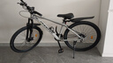 凤凰（Phoenix）自行车成人山地车男女新款单车官方青少年学生12岁到18岁变速越野 钢架【全套竞速轴承】辐条轮肖灰 26寸24速【建议身高158-188cm】 实拍图