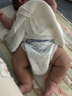 babycare金山茶花纸尿裤M50片(6-11kg)婴儿尿不湿超薄透气新生柔花苞裤 实拍图