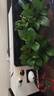 双盟绿萝盆栽除甲醛花卉绿植办公室新房净化空气180加仑4盆装源头直发 实拍图