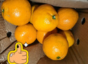 兀果语2025年云南密桔酸桔子当季薄皮橘子孕妇新鲜水果爆汁无核青 2斤 实拍图