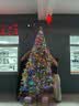 琉弦笙 圣诞树客厅  【德国品质】落雪圣诞摆件酒店商场装饰圣诞节装饰 广场推荐-3.0米加密落雪圣诞树【赠玩偶牌】 实拍图