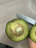 鲜青录秘鲁进口牛油果鳄梨奶油酷热带新鲜宝宝孕妇水果 600g尝鲜【6个中果 单果100-140g 实拍图