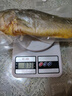 黄小渔宁德三去黄花鱼800g/条净重 大黄鱼生鲜 鱼类海鱼 海鲜水产 实拍图