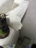 倍舒特0感棉 超薄透气棉柔日夜套装卫生巾59片 京东自营姨妈巾 实拍图