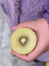 佳沛（zespri）新西兰  阳光金奇异果16粒礼盒经典果单果约 77-103g 水果 猕猴桃 实拍图