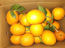 逮果重庆奉节脐橙纽荷尔春橙福本特级大果礼盒装时令新鲜孕妇水果橙子 特级果20斤礼盒装【JD/顺丰】 实拍图