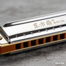 东方鼎（EAST TOP）半音阶口琴12孔48音 先行者2.0 初学推荐 无膜不粘膜可水洗 实拍图
