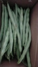 农家四季豆新鲜现摘云南长扁豆角农家应当季蔬菜芸豆现摘菜豆 新鲜四季豆2斤带箱 实拍图