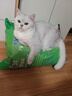 妙多乐猫粮成猫10kg 室内猫全价猫粮 实拍图