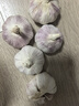 京鲜生河南杞县大蒜带皮干蒜净重5斤单果5.5-6cm 源头直发包邮 实拍图