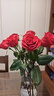 红色单头玫瑰10枝 实拍图