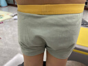 尼多熊宝宝内裤棉a类儿童平角短裤男小童宝宝亲肤四角裤 实拍图