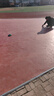 欧百娜户外pvc地胶羽毛球地胶垫篮球场地胶垫匹克球场幼儿园悬浮地板 室外地胶 晒单实拍图