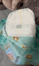 帮宝适散热王者一级帮婴儿拉拉裤尿不湿尿片尿布超薄透气XL64 实拍图