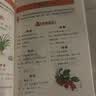 国医绝学百日通系列——手足按摩治百病等 阅读狂欢节 KBCT 【超值】土单方 实拍图