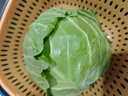 京鲜生山东新鲜绿甘蓝净重3斤单果200g+卷心菜甘蓝新鲜蔬菜 源头直发 实拍图
