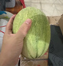 京鲜生 海南哈密瓜 西州蜜/西周蜜 2粒 5-7斤 单果2.5斤起 生鲜水果礼盒 实拍图