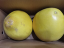 福建平和老树红柚 新鲜现摘 皮薄肉厚多汁 蜜柚柚子 1-1.5斤（2粒）性价比 实拍图
