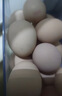 京鲜生可生食标准鲜鸡蛋30枚礼盒装3斤 源头直发 实拍图