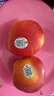 京鲜生Mr Apple新西兰皇后红玫瑰苹果12粒礼盒单果130-150g源头直发包邮 实拍图