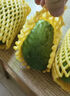 【双11抢购】玉芒芒果新鲜水果应当季生鲜 带箱1斤 中果【单果140-00g】 实拍图