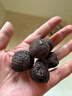 玉燕妃云南新鲜黑松露野生块菌猪拱菌松露菌营养泡酒春节年货节送礼品 2-3cm新鲜黑松露 净重1斤 配礼盒 实拍图