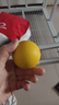宜特（EETOYS）橡胶实心球黄色狗狗玩具磨牙耐咬有弹力互动训练宠物用品 实拍图