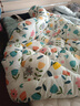 雅鹿·自由自在 A类抗菌纤维被子被芯单人秋冬天季被褥棉被冬天150x200cm5斤繁花 实拍图