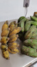 探味君 广西香蕉 小米蕉 新鲜水果带箱 9斤 净重8.5斤 实拍图